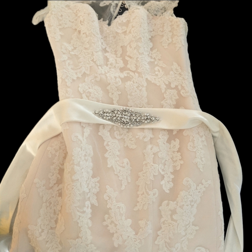 MORI LEE Blush with Lace Overlay Wedding Dress with belt size 10 - Picture 8 of 17